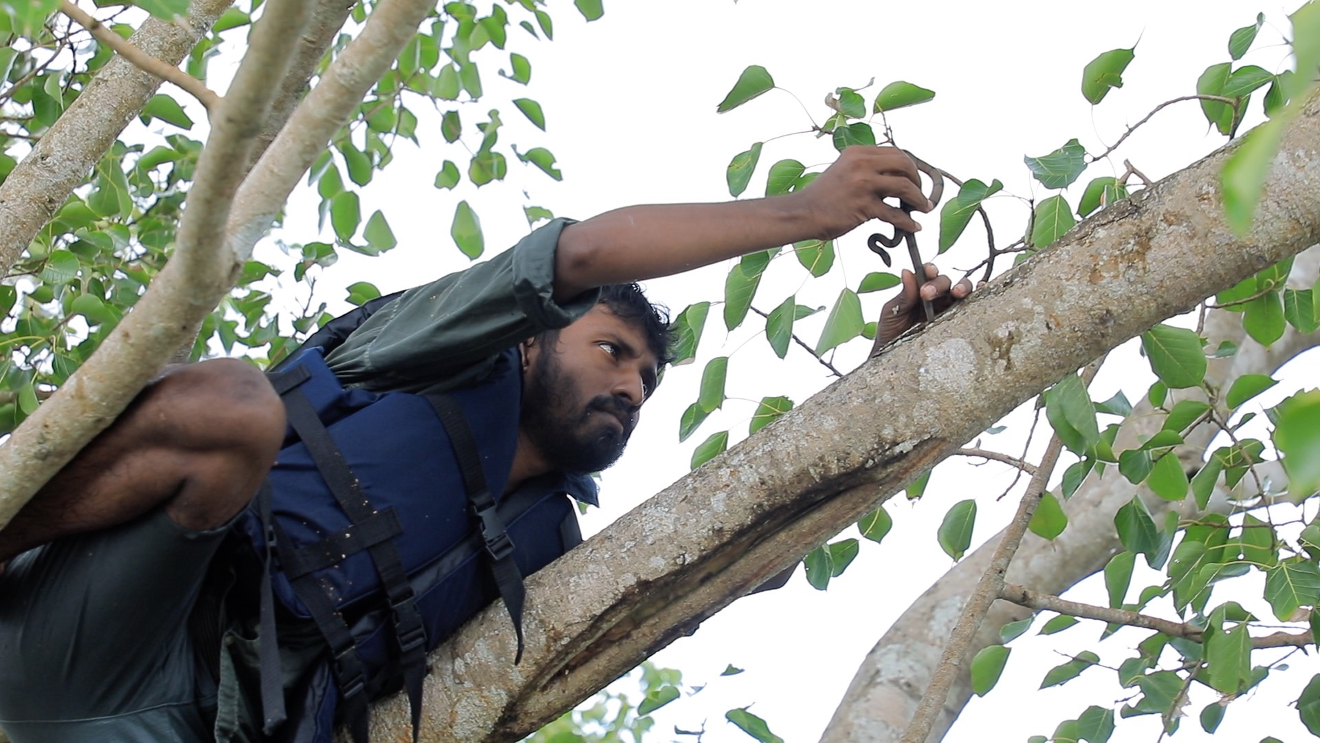 Yan Oya Animal Rescue